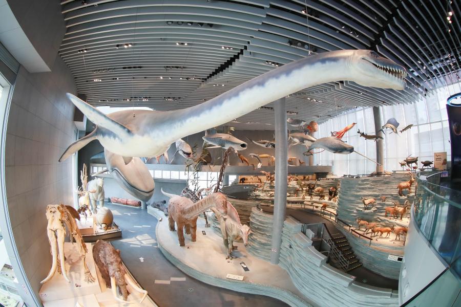 走進(jìn)上海自然博物館，跨越時(shí)空的奇妙之旅