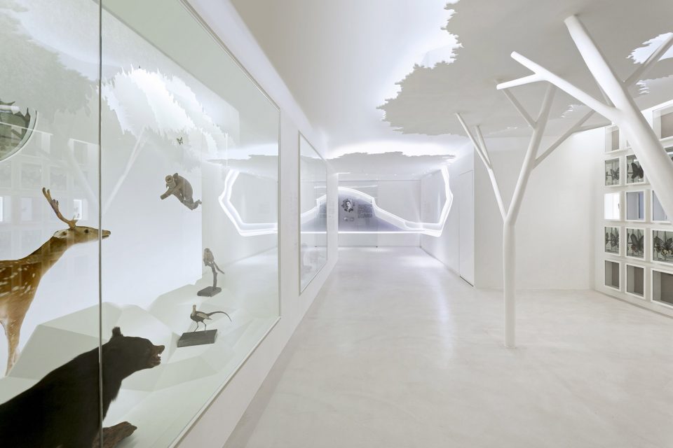 博物館空間設(shè)計